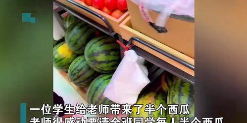 今日吃瓜-王老师