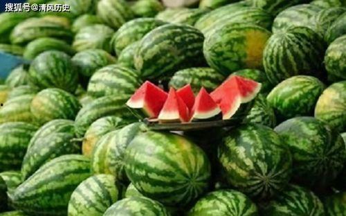 吃瓜不吃壳儿,揭秘吃瓜不吃壳儿的独特魅力与生活态度