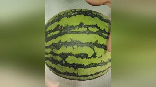 吃的骚瓜,舌尖上的独特风味