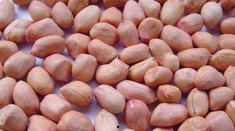 王瓜与花生可以一起吃吗,王瓜与花生同食的适宜性探讨