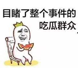 小宝吃瓜群众,揭秘娱乐圈幕后故事