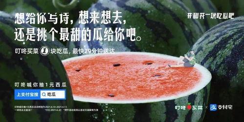 相册吃瓜文案,揭秘娱乐圈那些不为人知的幕后故事